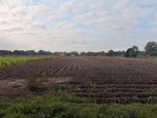 Agrarische grond Vierhuizenweg Oldebroek