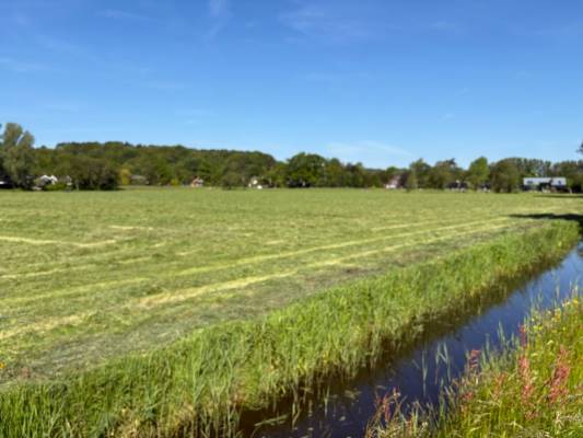 Agrarische grond Omloop 35 Schoorl