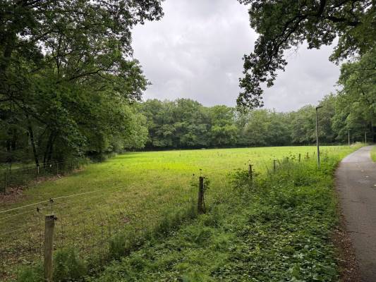 Agrarische grond Otterloseweg Hoenderloo (Gem. Apeldoorn)