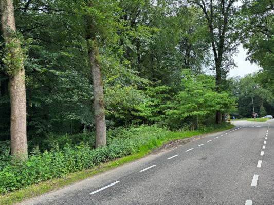Agrarische grond Otterloseweg Hoenderloo (Gem. Apeldoorn)