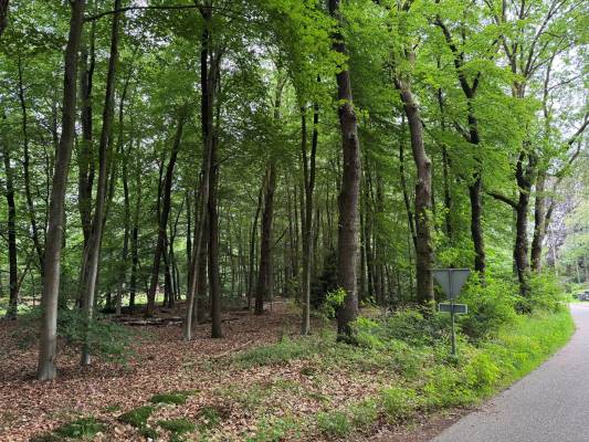 Agrarische grond Otterloseweg Hoenderloo (Gem. Apeldoorn)