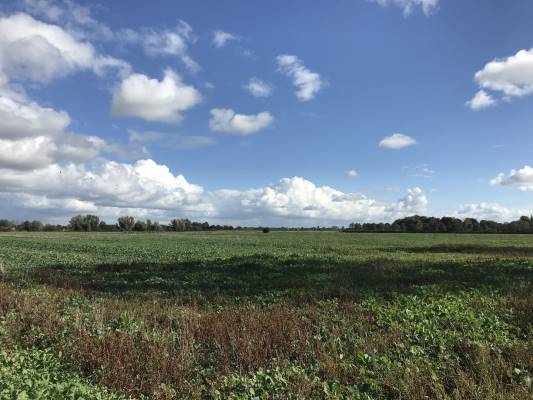 Agrarische grond Polderweg Kekerdom