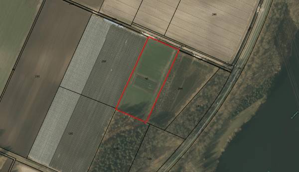 Agrarische grond Roggelsedijk Neer