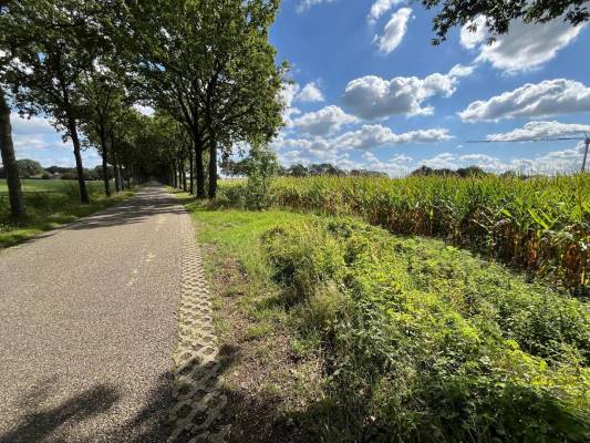 Agrarische grond Vogelenzang Erp