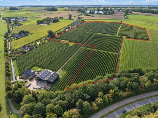 Agrarisch bedrijf Sluis Zuid Wijk bij Duurstede