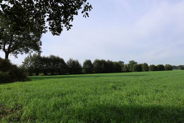 Agrarische grond Grond nabij Hoofdweg 47 Ederveen
