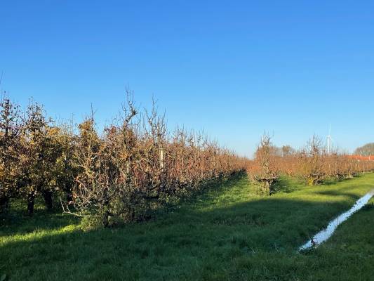 Agrarische grond Slimweistraat Waardenburg