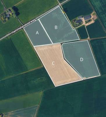 Agrarische grond Hammelandsterweg 3 Rasquert