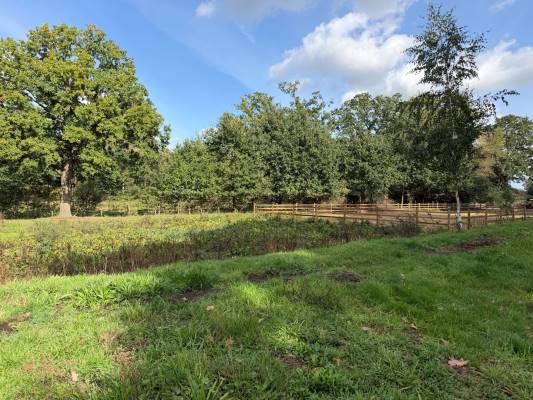 Agrarische grond Dortherweg 2-B Epse