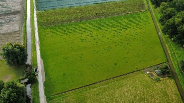 Agrarische grond Insteekweg Dirkshorn