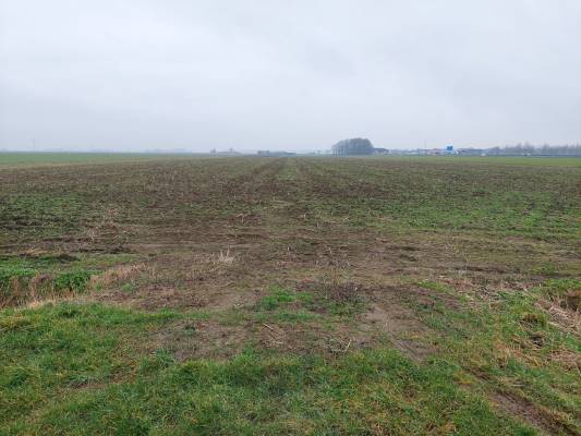 Agrarische grond Percelen cultuurgrond aan Oude Molenweg Waspik