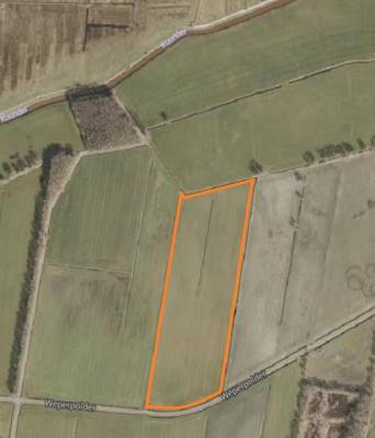 Agrarische grond Weperpolder Oosterwolde (FR)