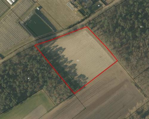 Agrarische grond Dijk Kessel