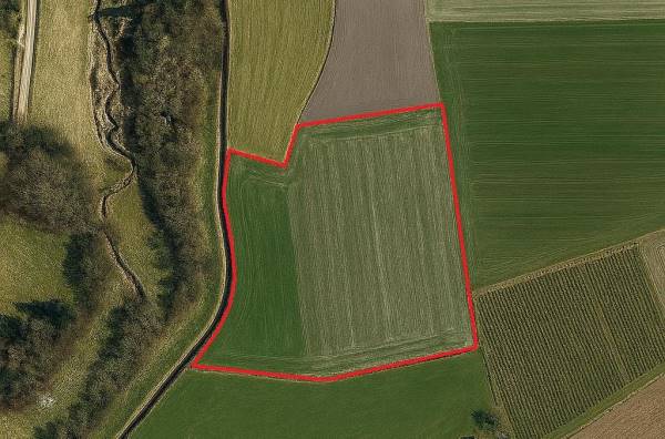 Agrarische grond Groene Weg Diessen