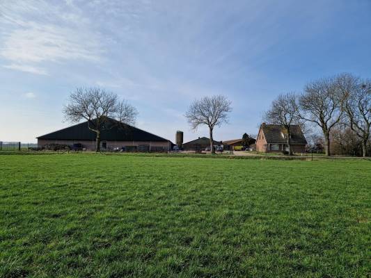 Agrarisch bedrijf Wijlseweg 13 Maren-Kessel