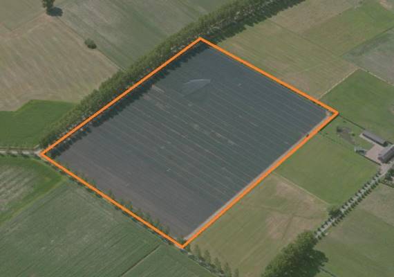 Agrarische grond Wielekesweg Lieshout