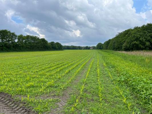 Agrarische grond Percelen bij Pontweg De Koog