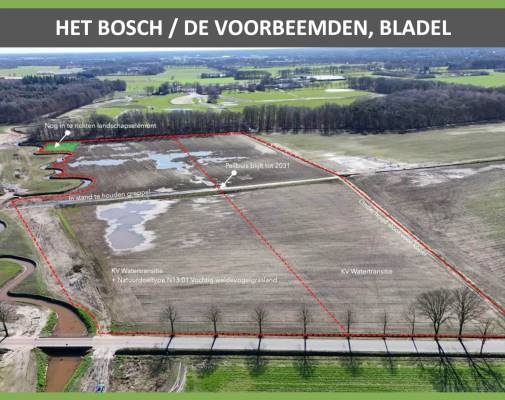 Agrarische grond Het Bosch Bladel