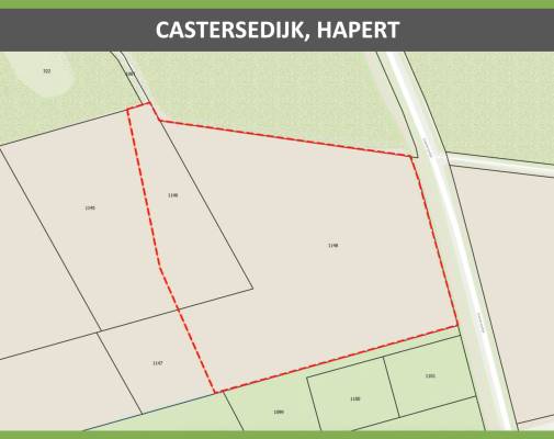 Agrarische grond Castersedijk Hapert