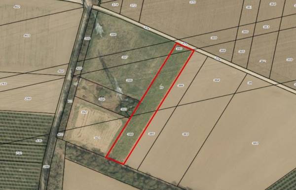 Agrarische grond Houtweg Noord Echt