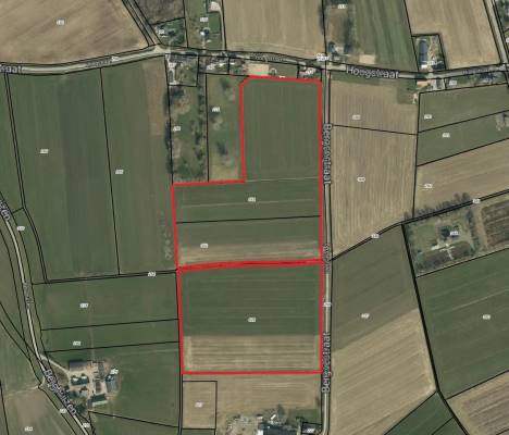 Agrarische grond Bergsestraat Maasbommel