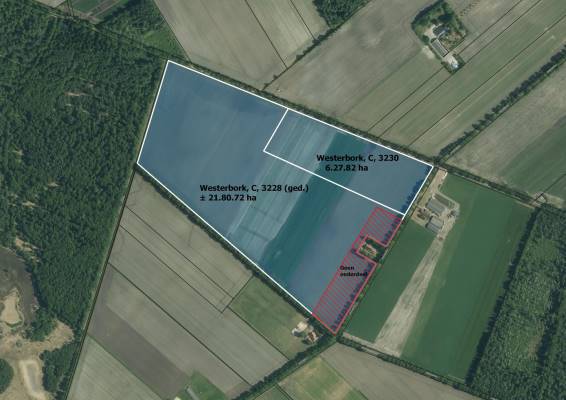 Agrarische grond Orvelterveld Orvelte