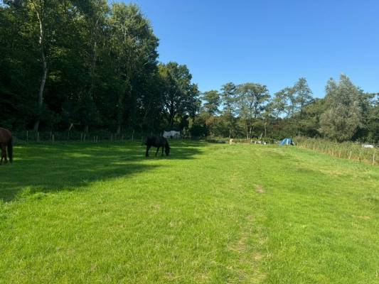 Agrarische grond Grond nabij Achter Capitten 2 Blaricum