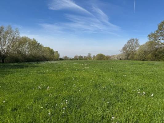 Agrarische grond Zeedijk Nijbroek
