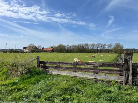 Agrarische grond Perceel cultuurgrond aan de Westerweg Den Hoorn (NH)