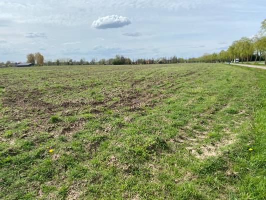 Agrarische grond Hoek Hummeloseweg / Eeltinkweg Zelhem