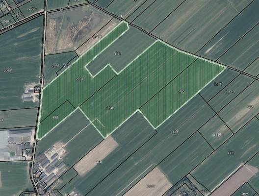 Agrarische grond Achterdijk 1 Schalkwijk