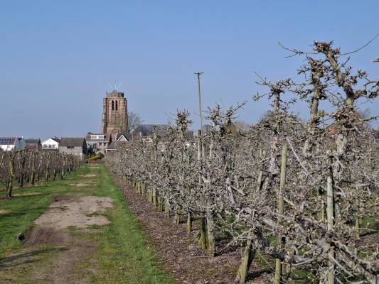 Agrarische grond Voorstraat 85 Beesd