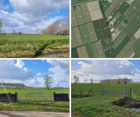 Agrarische grond De Steeg Ingen