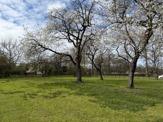 Agrarische grond Sportlaan Bunnik