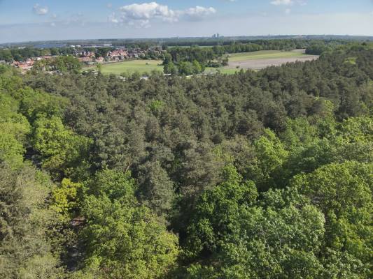 Agrarische grond Elburgerweg Hattemerbroek