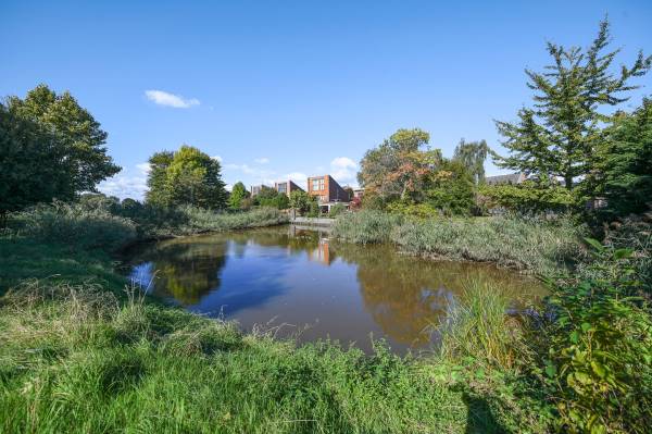 Agrarische grond Groenling 19 Ouderkerk aan de Amstel
