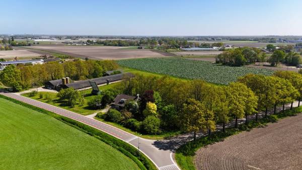 Agrarisch bedrijf Steegse Peelweg 73 Veulen