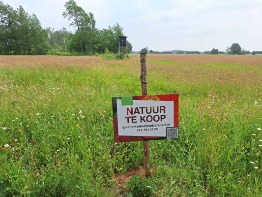 Agrarische grond Kokmeeuwenweg Heusden (Gem. Asten)