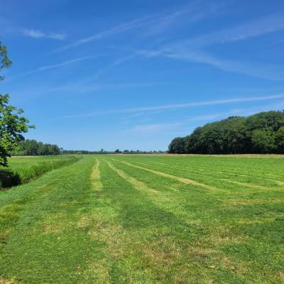 Agrarische grond Nieuw-Loosdrechtsedijk Loosdrecht