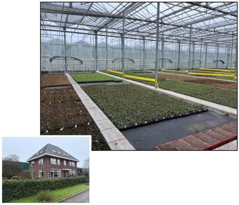 Agrarisch bedrijf Hoogzandweg 5 Ridderkerk
