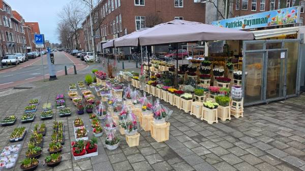 Bedrijfsruimte Kamperfoelieplein 10-D Den Haag