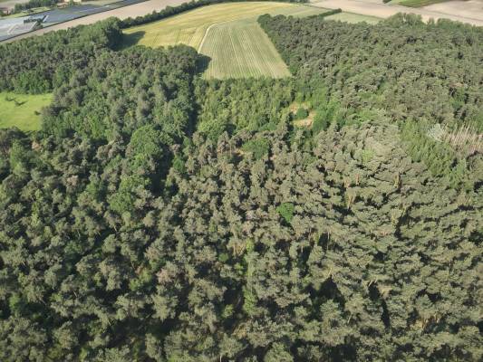 Agrarische grond Heide Roggel