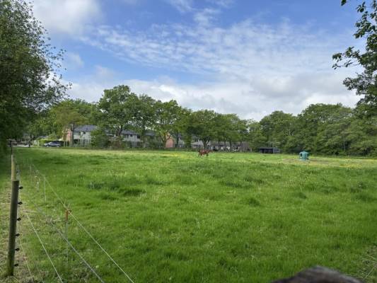 Agrarische grond Marsstukken Aalden
