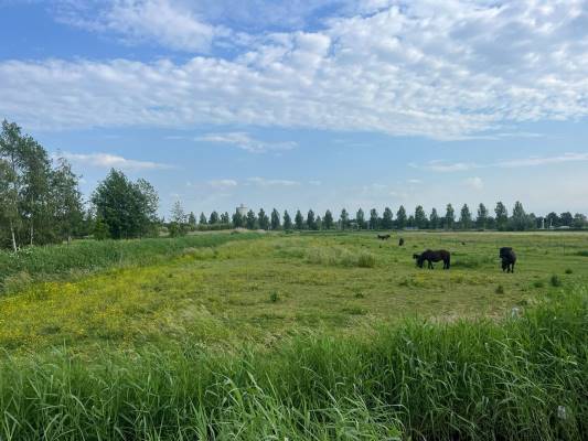 Agrarische grond Krangstraat Bruchem
