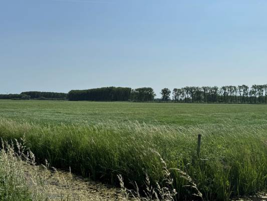 Agrarische grond Oude Hoevenseweg Tricht