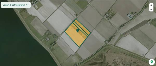 Agrarische grond Voorweg Oudenhoorn