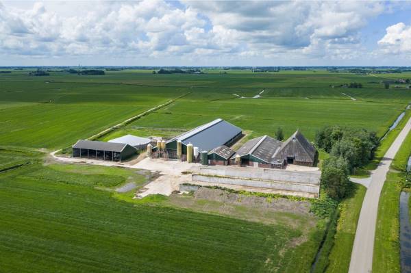 Agrarisch bedrijf Flieterpsterdyk 49 Lichtaard
