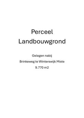Agrarische grond Brinkeweg Winterswijk Miste