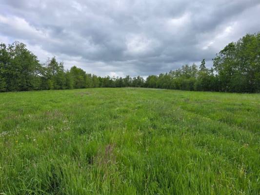 Agrarische grond Naaldenkoperweg Nijkerkerveen
