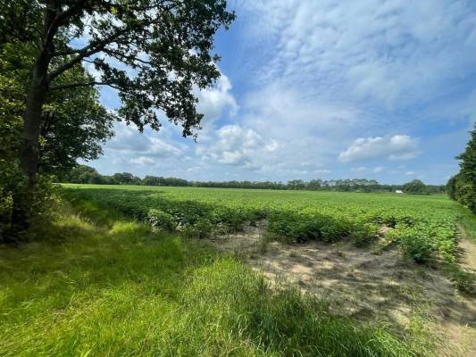 Agrarische grond Hennehorstweg Uffelte
